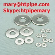 Inconel 783 Boltmøtrikskive