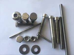 Factory Made Legering C-276 DIN2.4819 UNS N10276 Hastelloy C276 Heavy Hex Nut Stockist